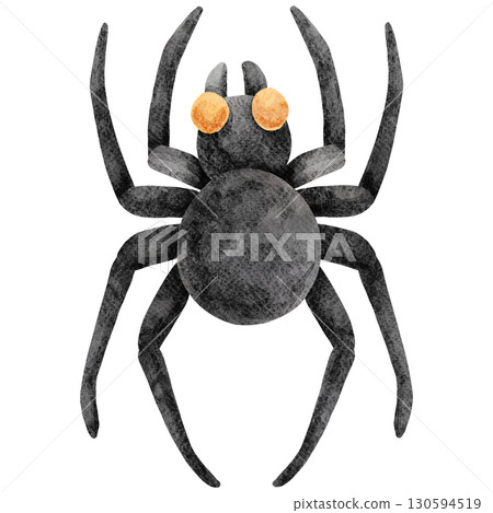 Watercolor Illustration of a Black Spider 130594519