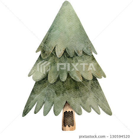 Watercolor Illustration of a pine tree-2 130594520