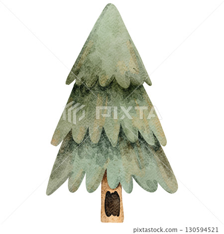 Watercolor Illustration of a pine tree 130594521