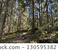 Nuuksio National Park, Finland 130595382