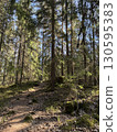 Nuuksio National Park, Finland 130595383