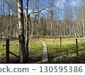 Nuuksio National Park, Finland 130595386