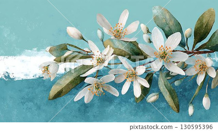 white tulips on a blue background white tulips on a blue background 130595396