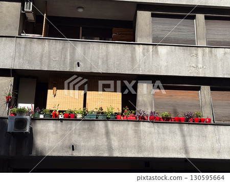 Balcony with flowers in red pots. Urban gardening, greenery and outdoor decoration on a residential building. 130595664