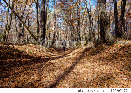 Stroll along mountain paths covered with fallen leaves 130596472