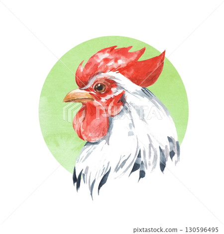 Rooster. Hand drawn watercolor illustration. Rooster. Hand drawn watercolor illustration. 130596495