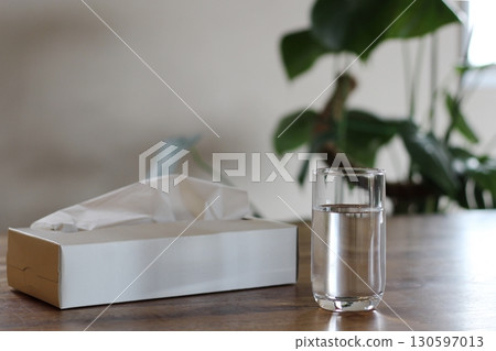 Tissue paper and a cup of water, a white tissue box, a houseplant, indoors 130597013