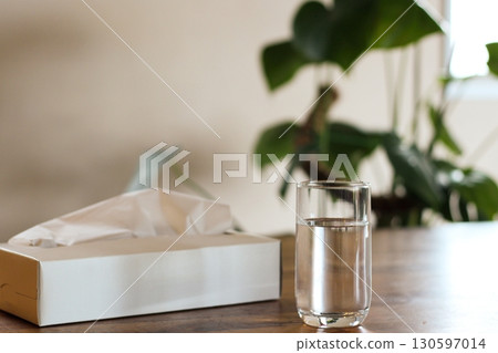 Tissue paper and a cup of water, a white tissue box, a houseplant, indoors 130597014