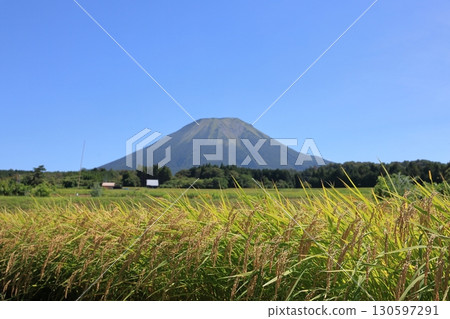 Mt. Oyama and the Rice 3 130597291