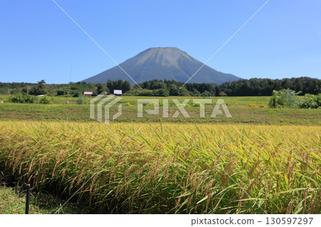 Mt. Oyama and the Rice 2 Mt. Oyama and the Rice 2 130597297