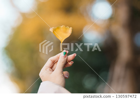 Woman hand holding yellow ginkgo leaves. Colorful falling foliage in the garden, natural background banner for Autumn season and seasonal change concept 130597472