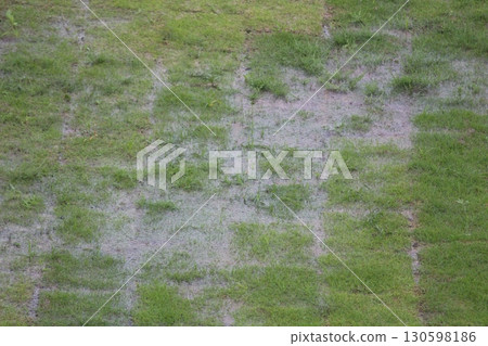 雨水落在草地上,形成水坑 雨水落在草地上,形成水坑 130598186