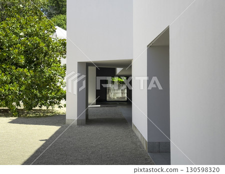 Minimalist white building with geometric passage and shadows next to a green tree in Serralves Park, 130598320
