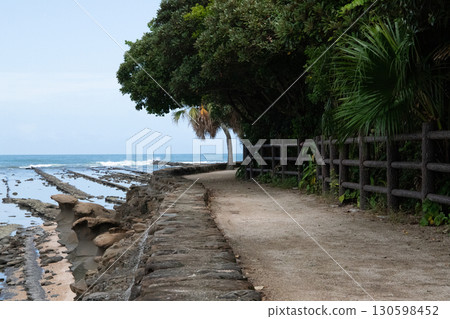 The way to the sea The way to the sea 130598452
