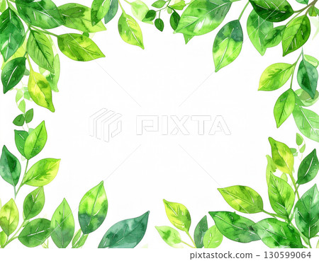 新鮮的綠色植物和水彩風格的葉子的框架 新鮮的綠色植物和水彩風格的葉子的框架 130599064