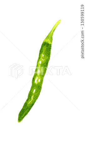 青辣椒(單品)手繪水彩畫蔬菜和調味品 青辣椒(單品)手繪水彩畫蔬菜和調味品 130599119