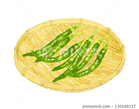 竹濾網上的青辣椒。手繪水彩畫，描繪蔬菜和調味品。 130599137