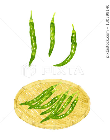 竹濾網上的一組青辣椒。手繪水彩畫，描繪蔬菜和調味品。 130599140