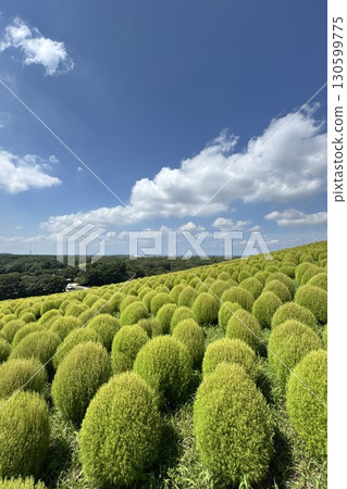 地膚山仰望藍天 地膚山仰望藍天 130599775