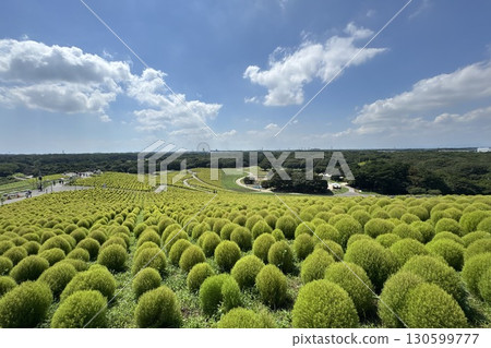 地膚山仰望藍天 地膚山仰望藍天 130599777