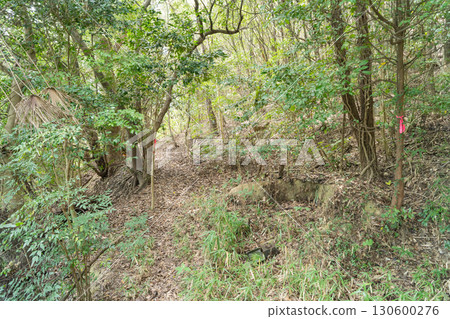 十禪寺山的登山路線(岡山縣玉野市) 十禪寺山的登山路線(岡山縣玉野市) 130600276