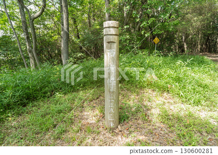 十禪寺山西光峰(岡山縣玉野市) 十禪寺山西光峰(岡山縣玉野市) 130600281