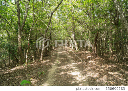 十禪寺山西光峰至金剛山峰的登山路線(岡山縣玉野市) 十禪寺山西光峰至金剛山峰的登山路線(岡山縣玉野市) 130600283
