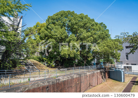 國家指定重要文化遺產:大阪市淀川舊分流設施毛馬第一船閘 國家指定重要文化遺產:大阪市淀川舊分流設施毛馬第一船閘 130600479