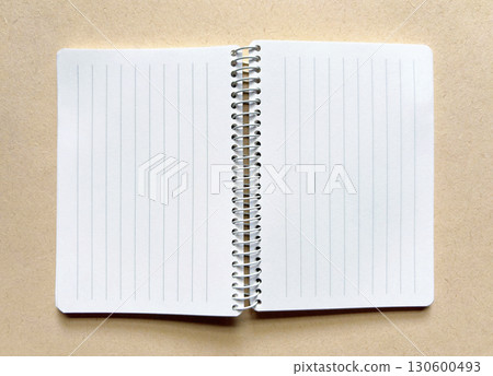 Open the notebook 130600493