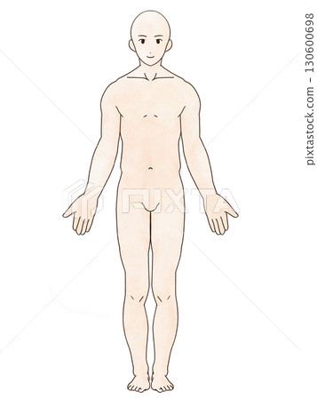 解剖直男正面水彩風格 130600698