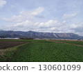 Nature in Aso City, Kumamoto Prefecture 130601099