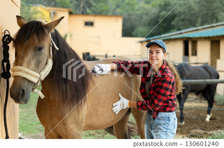 Female worker in plaid shirt combs tethered horse in stable. 130601240