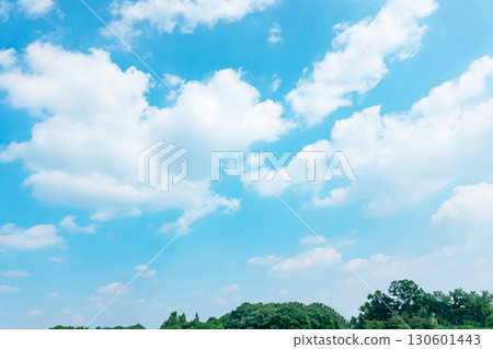 Blue sky, clouds and grove 130601443