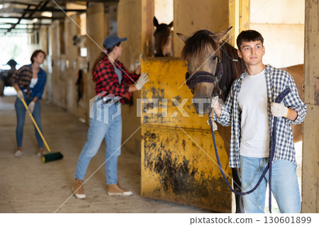 Young stable worker leads horse out of its stall by bridle 130601899