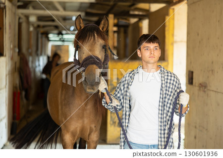 Male owner of horse takes animal out of stall, holds bridle and forces it to follow him Male owner of horse takes animal out of stall, holds bridle and forces it to follow him 130601936