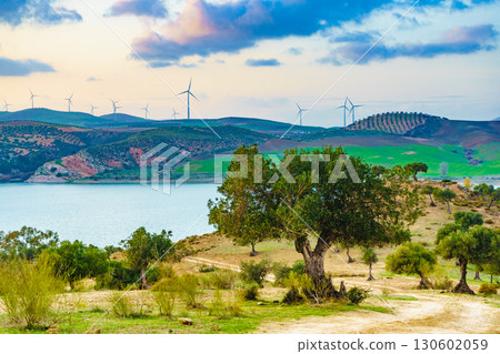 Andalucia with wind turbines on hill, Spain 130602059