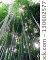 Scenery with bamboo grove 130602577