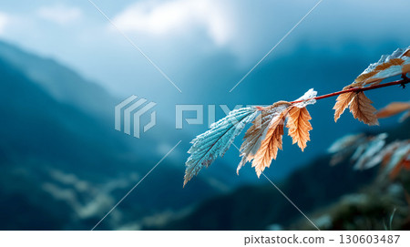 Frost covered autumn leaves on branch with mountain background in cold weather Frost covered autumn leaves on branch with mountain background in cold weather 130603487