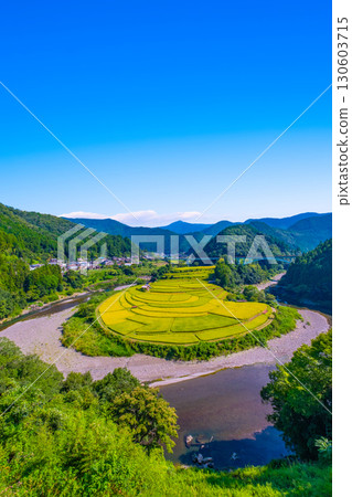 Aragi Island, Wakayama Prefecture: Autumn harvest Aragi Island, Wakayama Prefecture: Autumn harvest 130603715