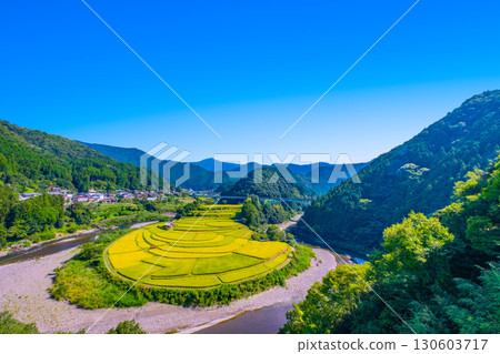 Aragi Island, Wakayama Prefecture: Autumn harvest 130603717
