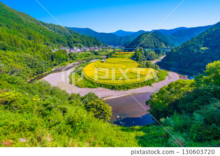 Aragi Island, Wakayama Prefecture: Autumn harvest 130603720