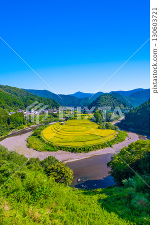 和歌山縣荒木島:秋收 和歌山縣荒木島:秋收 130603721