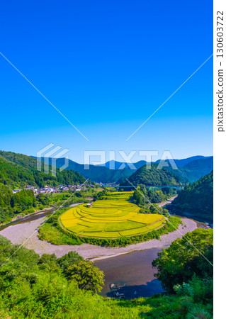 和歌山縣荒木島：秋收 130603722