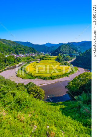 Aragi Island, Wakayama Prefecture: Autumn harvest 130603723