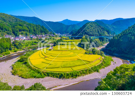 Aragi Island, Wakayama Prefecture: Autumn harvest 130603724