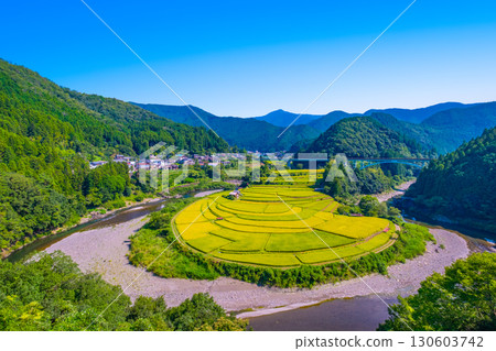 Aragi Island, Wakayama Prefecture: Autumn harvest 130603742