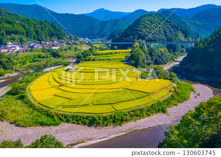 和歌山縣荒木島:秋收 和歌山縣荒木島:秋收 130603745