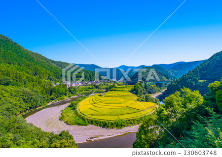 Aragi Island, Wakayama Prefecture: Autumn harvest Aragi Island, Wakayama Prefecture: Autumn harvest 130603748