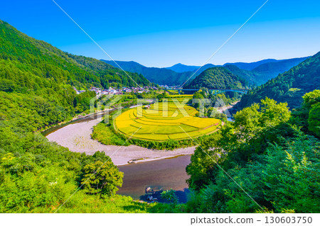 Aragi Island, Wakayama Prefecture: Autumn harvest Aragi Island, Wakayama Prefecture: Autumn harvest 130603750