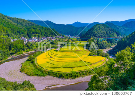 Aragi Island, Wakayama Prefecture: Autumn harvest 130603767